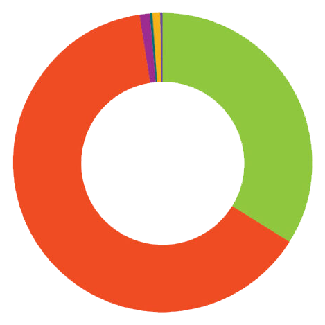 Revenue and Support Pie Chart